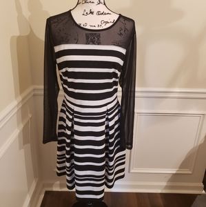 Sheer Long Sleeved Dress